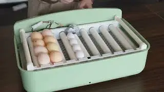 2022 new arrivals 32 egg incubator