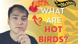 What are Hot Birds  | The Hot Wheels Plane Models