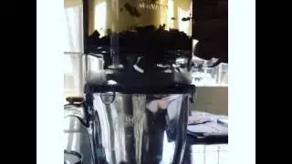 Teavana's Tea Maker