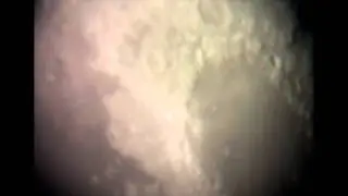 Video-Mare Crisium-Moon astronomy