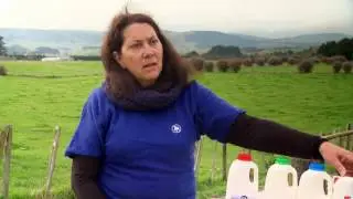 BioFarm Yoghurt
