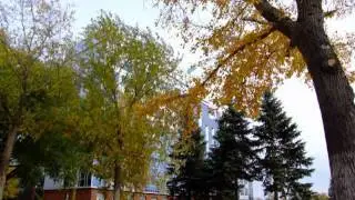 new.mp4
