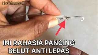 RAHASIA IKAT PANCING BELUT NORKHAMED8 ANTI LEM