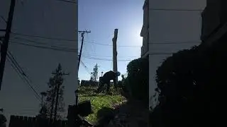 1 de enero de 2026