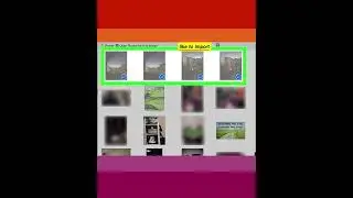 How Transfer Photos from iPhone to macOS