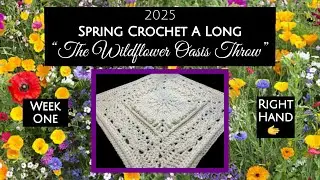 2025 Spring CAL - Week 1: &ldquo;The Wildflower Oasis Throw&rdquo; (Right Hand)
