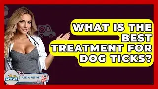 What Is The Best Treatment For Dog Ticks? - Ask A Pet Vet