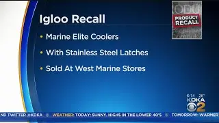 Igloo Recalls Coolers Over Safety Concerns