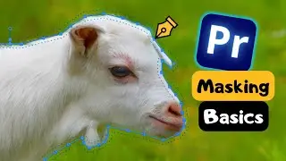How to Use Masks in Premiere Pro (Beginner Tutorial)