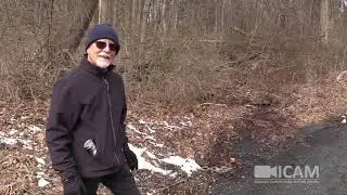 Destination Ipswich with Gordon Harris, Episode 2: Ipswich Walking Tour