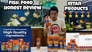 Best Fish Pellets| Intan Fish Pellets | Intan Fish Review | Best food for Cichlids | Flowerhorn Food
