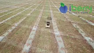 iberry atp 1 trials