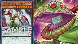 THREE Predaplant Pendulum monsters...