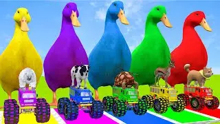 Long Slide Game With Elephant Gorilla Buffalo Hippopotamus Tiger 3d Animal Game Funny 3d Animals