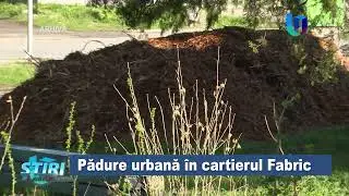Pădure urbană &icirc;n cartierul Fabric