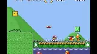 SMTKO Frog Coins