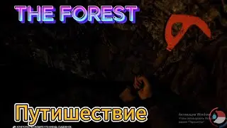 Путишествие ➤ The forest