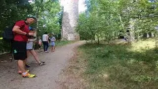 Kikut