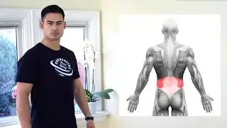 Home Exercises - Advanced Side Plank Variation - Part 2
