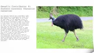 A Fictional Beast Made Real (Great Hybrid Tournement) @ValusDreadmir