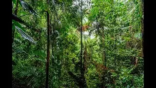 Borneo - part 1: Bako National Park