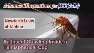 Advance Illustrations – An Insect Crawling Inside a Hemispherical Cup | NLM #30 for JEE Advanced