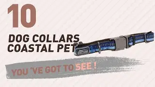Dog Collars Coastal Pet // Top 10 Most Popular