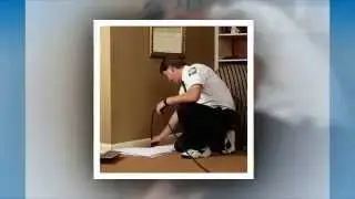 Exterminator | Queens, NY -- Metro Pest Control