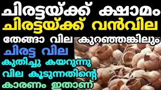 Big price for Chiratta || Price high || Manojnediyackal rubber tapping