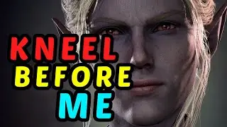 The TYRANNICAL TAUNTER - BG3's Only True Tank - Minthara / Paladin Honour Guide - Modded Bg3