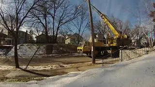 Arbortech, Minneapolis tree removal and Trimming