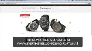 Online Store Tutorial Fortuna Theme OpenCart