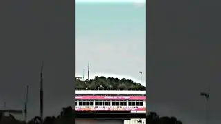 Smriti Mandhana New WhatsApp Status Video #ashortaday #shorts