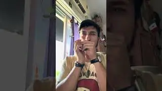 WILLIAM CLARKE SOLO on #harmonica