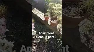 landscaping a apartment on a beautiful Carolina day