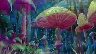 MYCO SPACE &ndash; Original Psychedelic EDM (Bass Boosted)