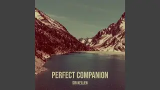 Perfect Companion