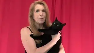 Kelley Cody Grimm Comedy & Improv Reel