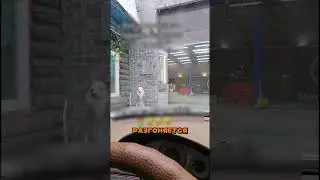 A typical problem for Mercedes owners!
