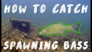 How To Catch A Bass On A Bed - UNDERWATER FOOTAGE!!!