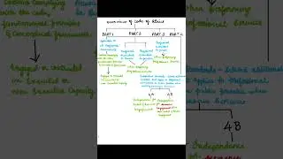 Professional Ethics part 2 #audit #cafinalaudit #professinalethics#education #audit_by_Rakesh