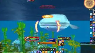Fire Mage Whale Shark Solo