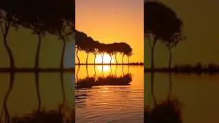 This Sunset Feels Unreal ✨#NatureShorts#SunsetLovers#RelaxingVideo#PeacefulVibes#CinematicNature
