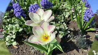 London Kew Garden 2022
