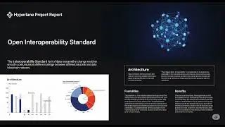 Hyperlane Project Report: Open Interoperability Standard
