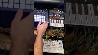 let's go!  #Jamuary26 #jamuary2026 arps and bleeps #synth #infn8loop #synthesizer #synthmusic