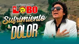 Sufrimiento y Dolor - El lobo