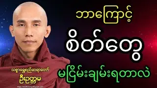 ဘာကြောင့်စိတ်တွေမငြိမ်းချမ်းရတာလဲ #သစ္စာရွေစည်ဆရာတော်2025 #buddha #တရားတော်များ #foryou #dhamma 