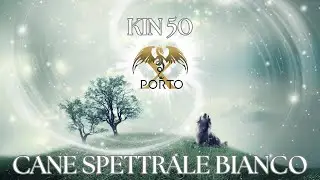 KIN 50 - CANE SPETTRALE BIANCO @portox1199