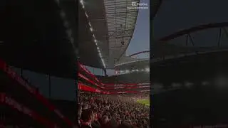 Stadiums edit #football #stadium